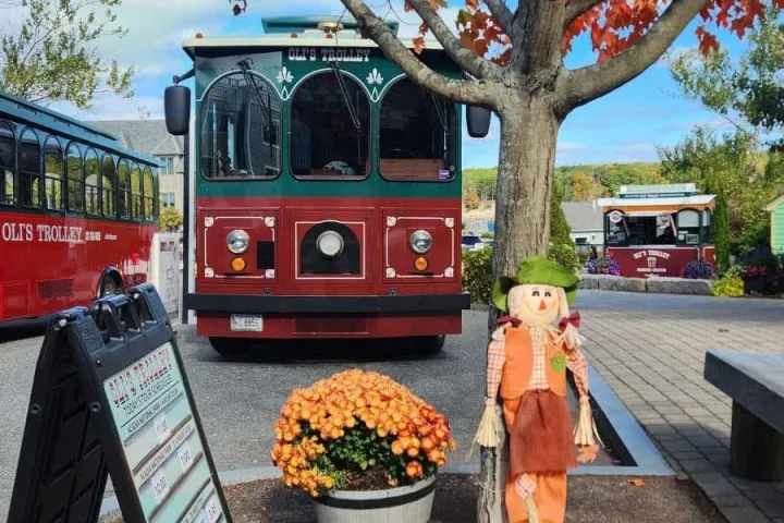 a bus that is sitting in front of a tree
