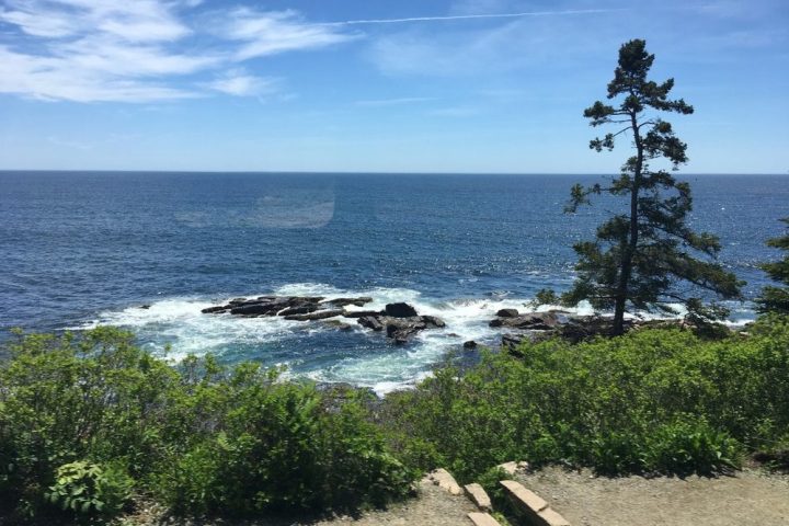 an island in the middle of a body of water