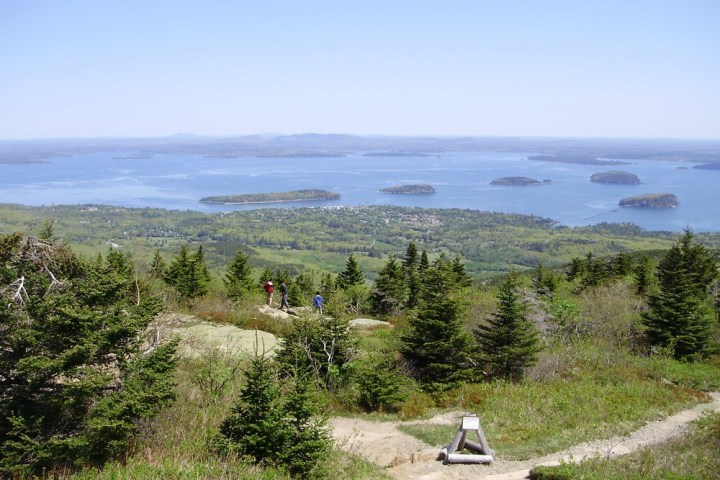 a path with trees on the side of a hill