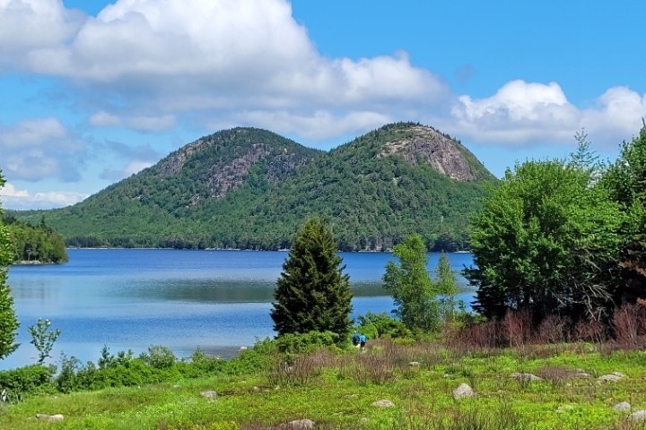 a close up of a hillside next to a body of water