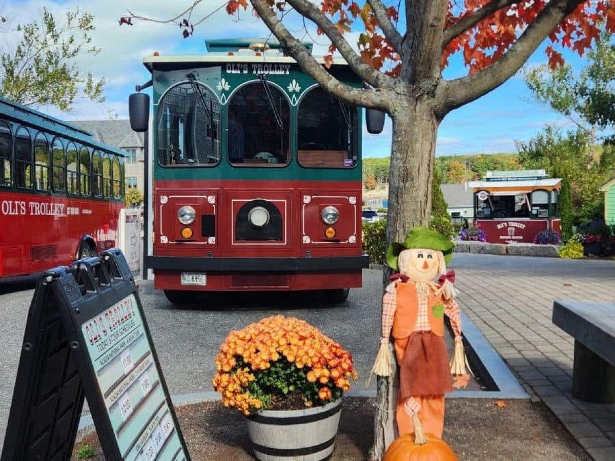 a bus that is sitting in front of a tree