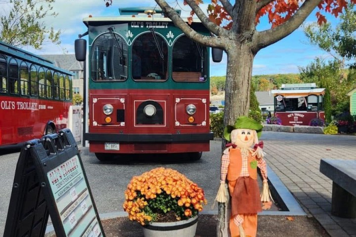 a bus that is sitting in front of a tree