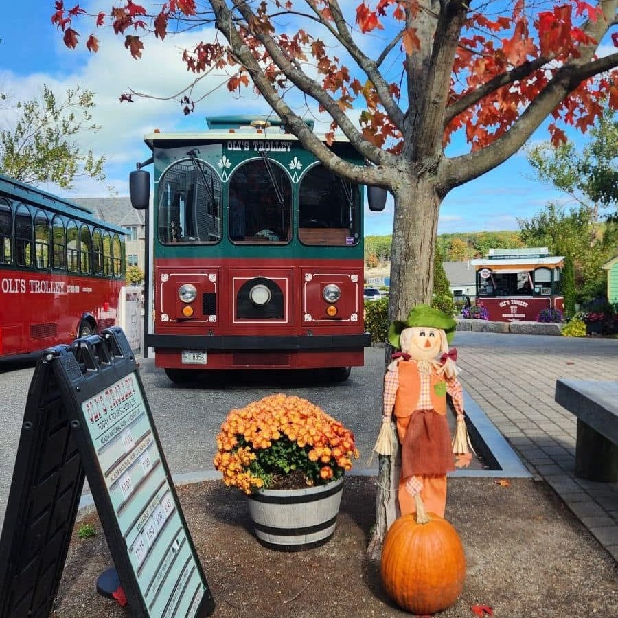 a bus that is sitting in front of a tree