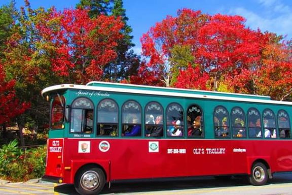 a colorful bus is parked on the side of a road