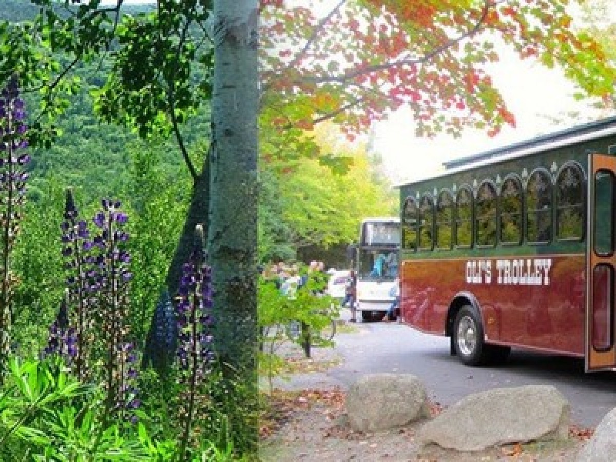 a bus that is parked on the side of a road