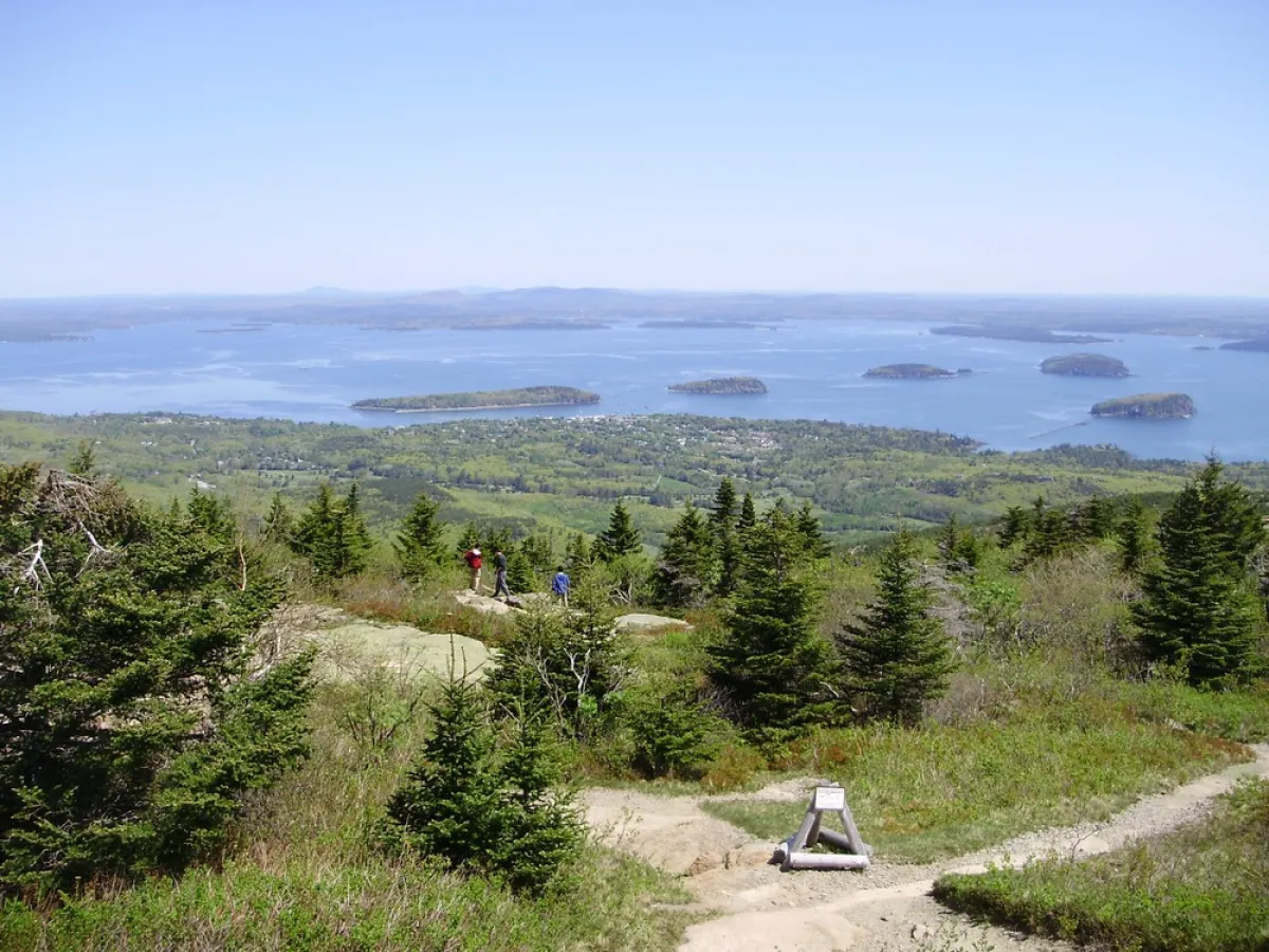 a path with trees on the side of a hill